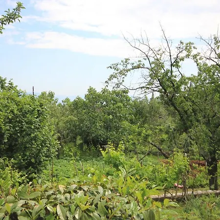 펜션 House With A Swimming Pool Zagore, Opatija - 7922 *