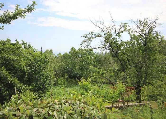 Casa de Férias House With A Swimming Pool Zagore, Opatija - 7922 *